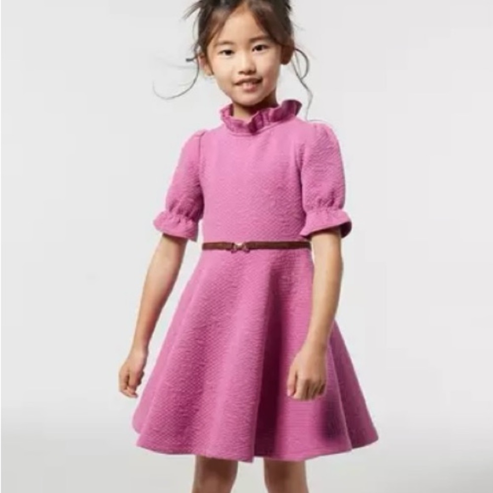 Janie and Jack Girls Pink Quilted Equestrian Dress with Belt Size 3 - Picture 2 of 8